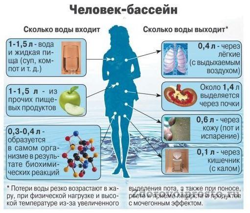 Диета При Обезвоживании Организма У Взрослого